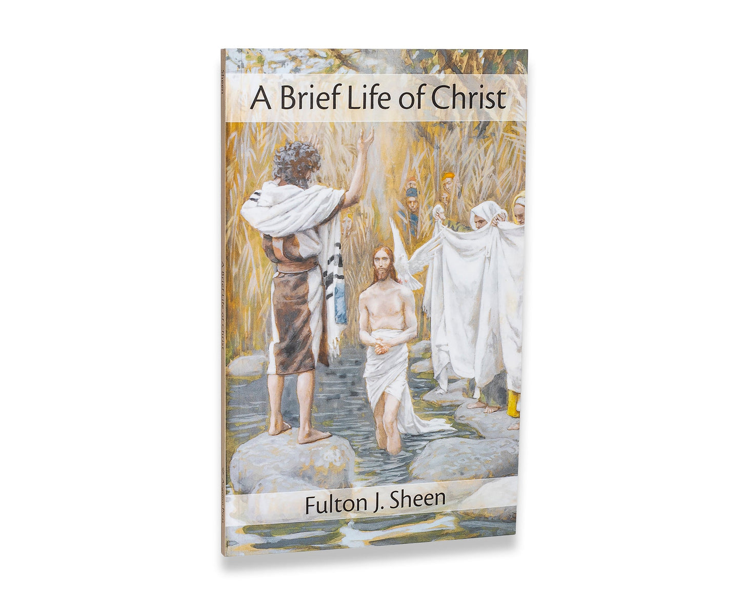 Fulton J. Sheen Paperback Bundle