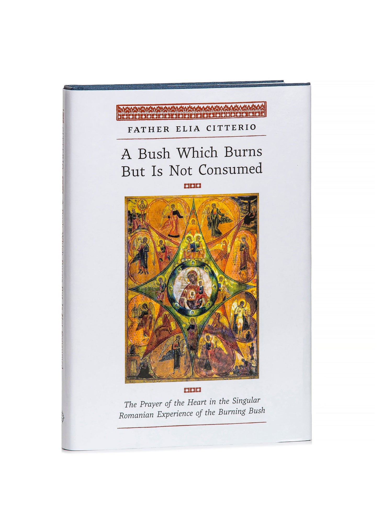 A Bush Which Burns But Is Not Consumed