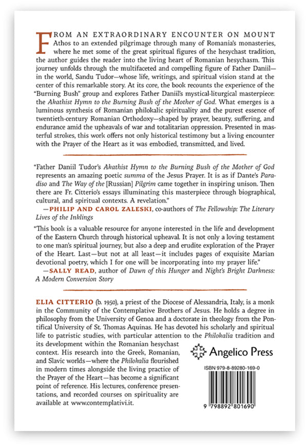 A Bush Which Burns But Is Not Consumed