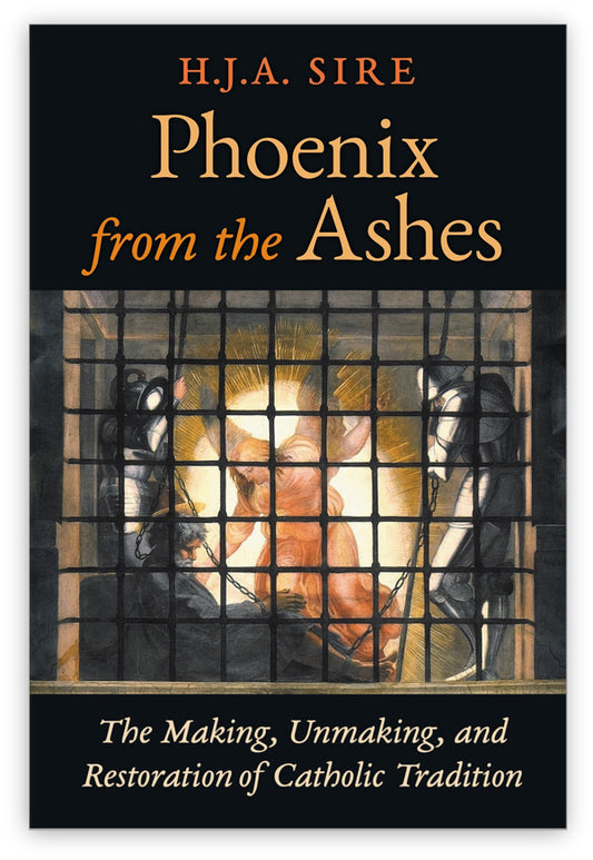 Phoenix from the Ashes