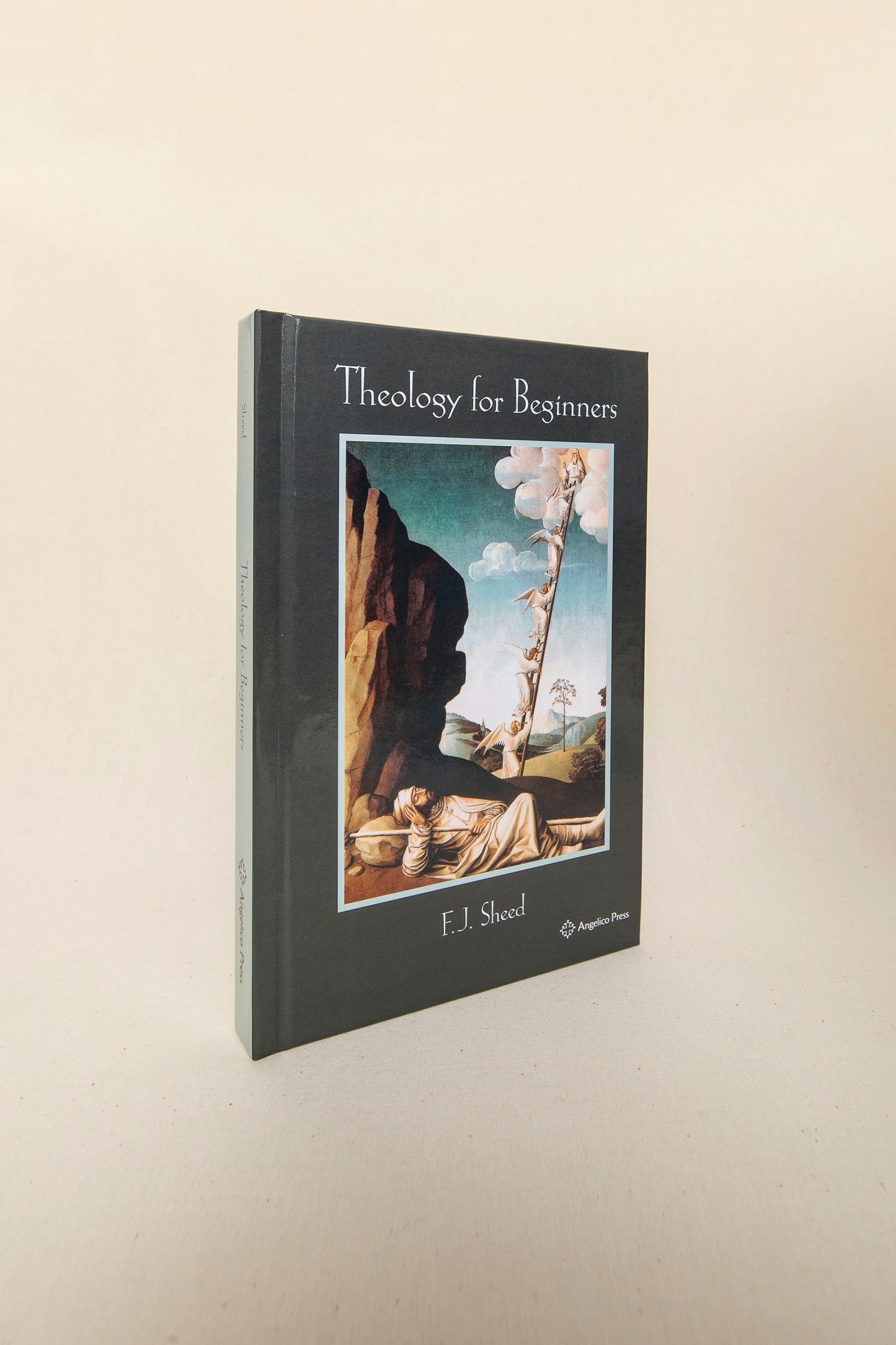 Theology for Beginners