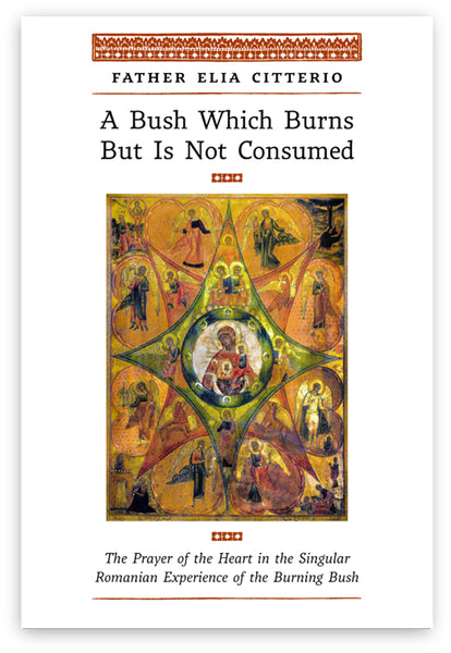 A Bush Which Burns But Is Not Consumed by Father Elia Citterio