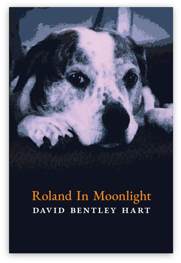 Roland in Moonlight