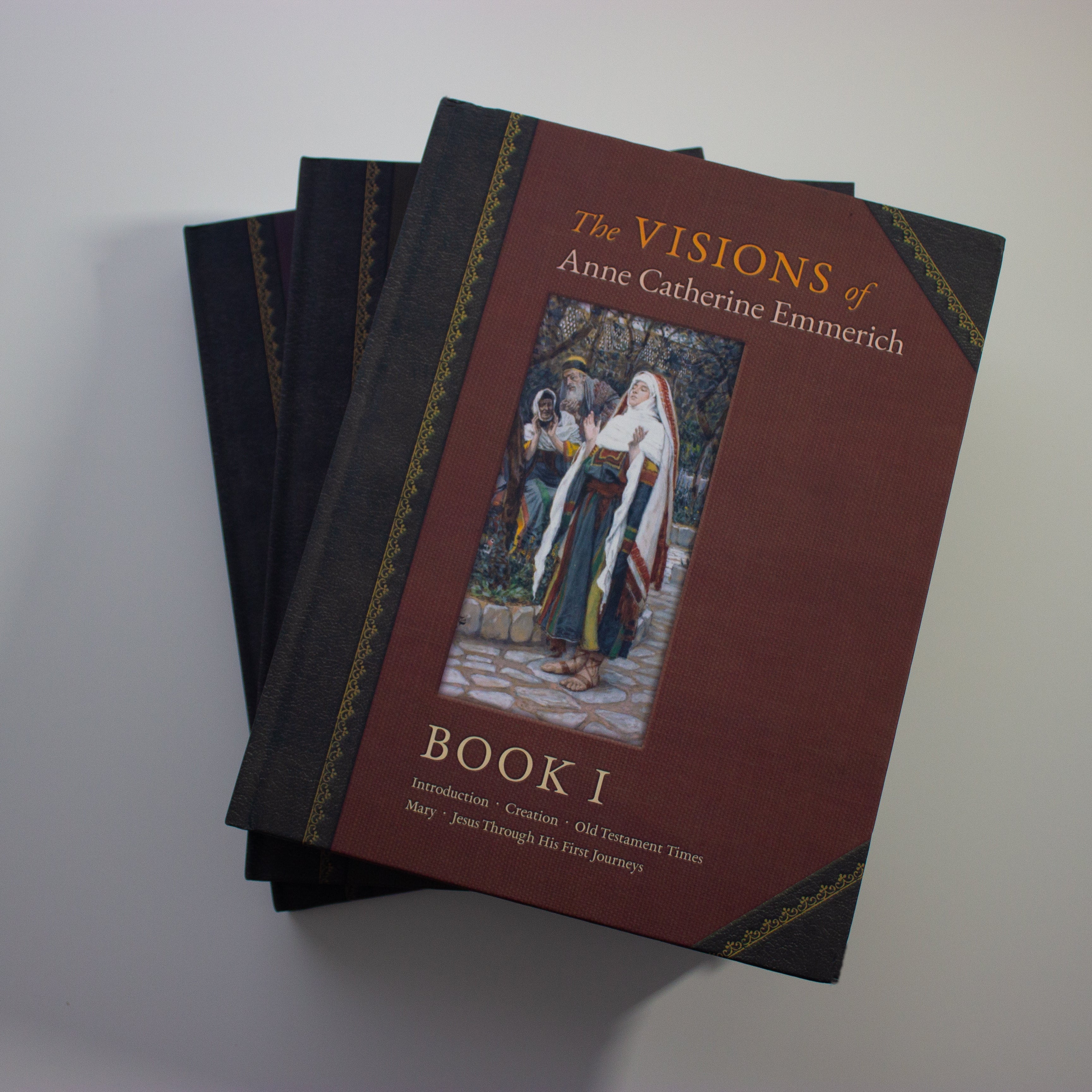 The Visions of Anne Catherine Emmerich Hardcover Bundle