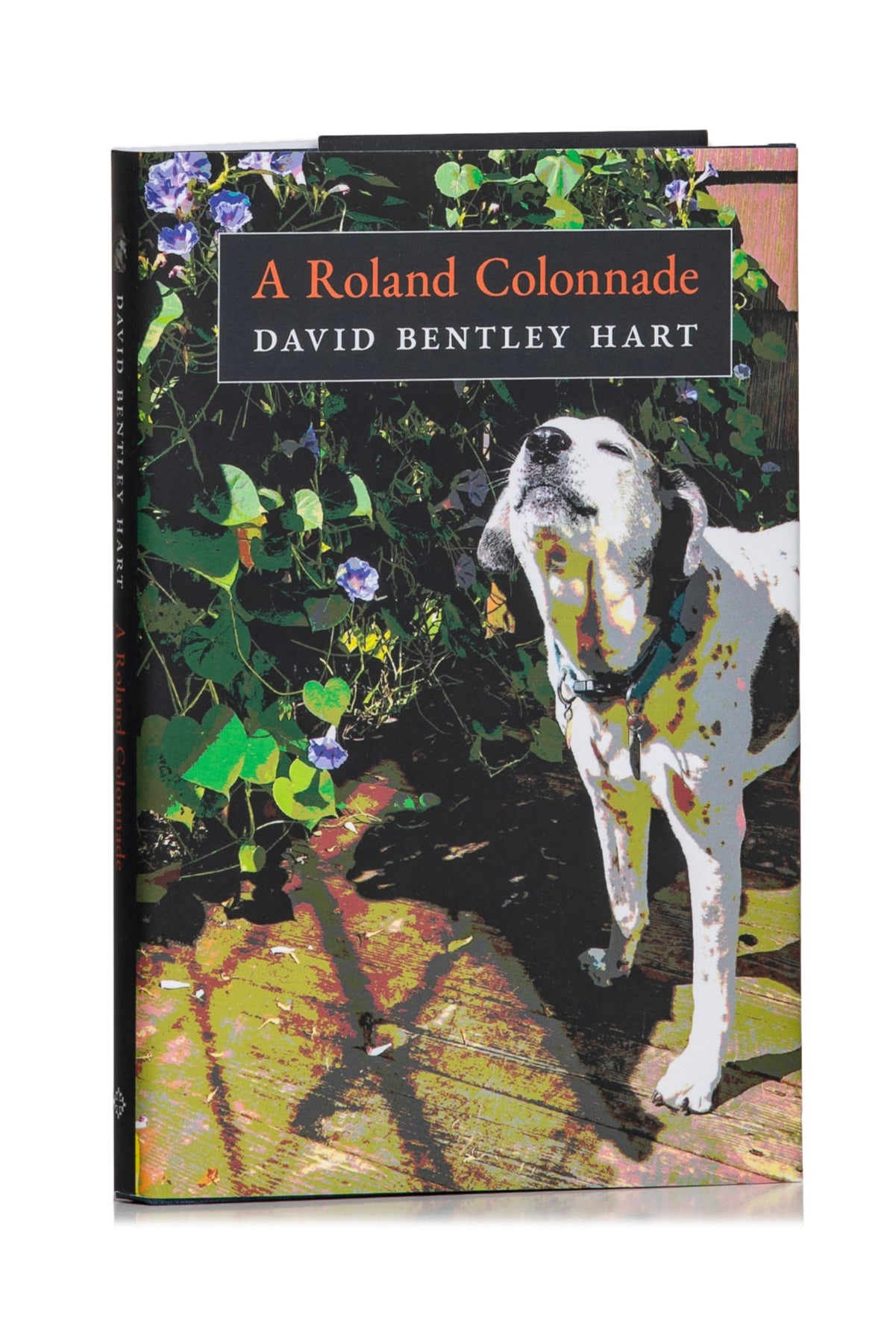 A Roland Colonnade