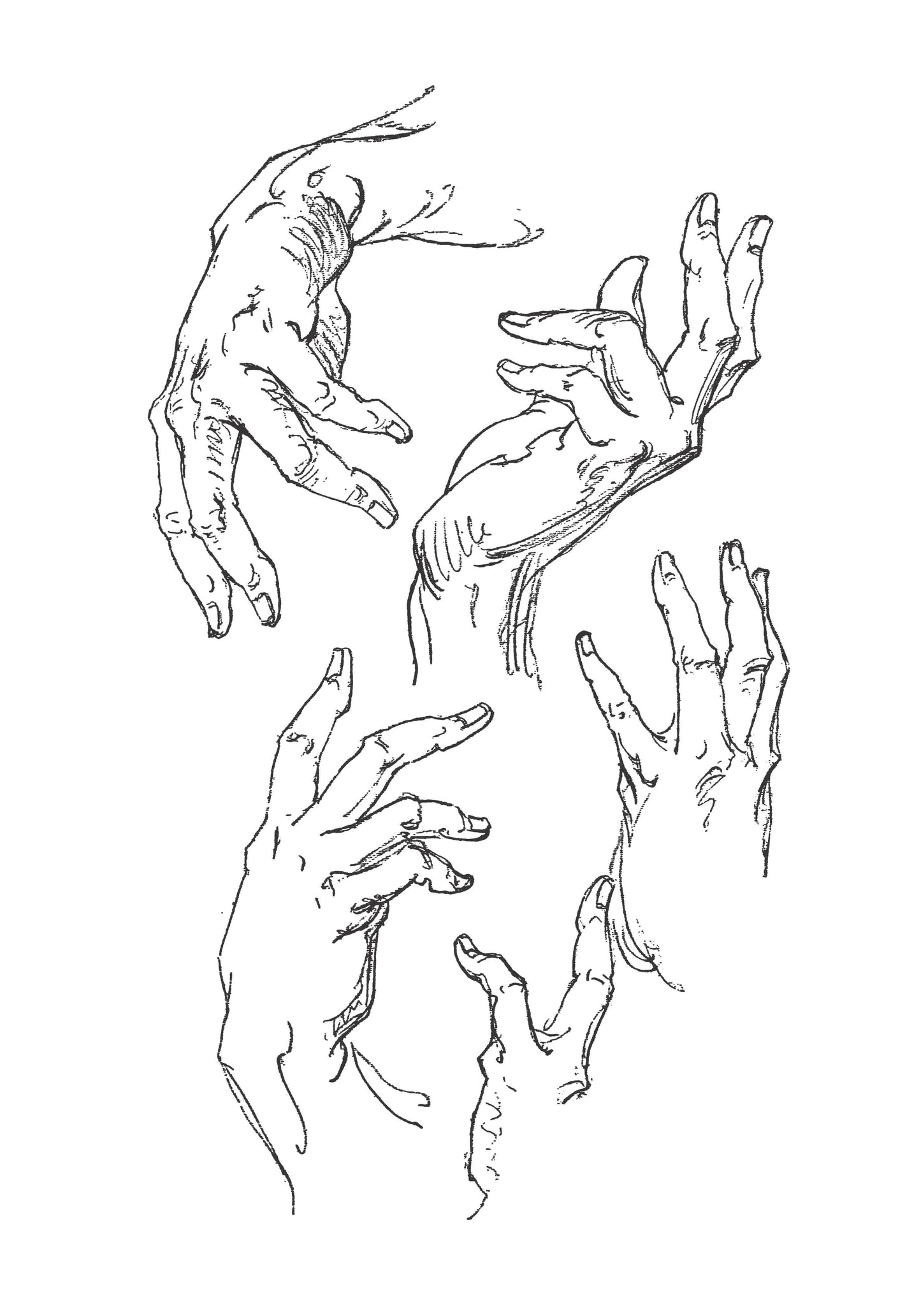 The Book of a Hundred Hands