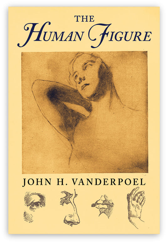 The Human Figure